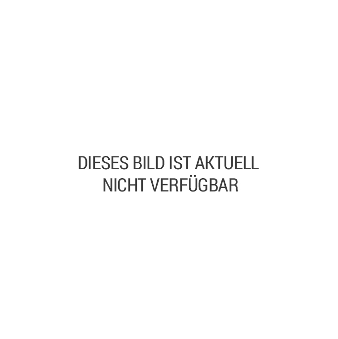 Eierlikör mit Rum